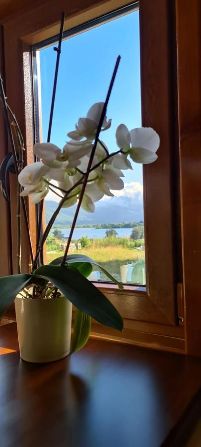 The Lake Breeze Bay Plav Bagian luar foto
